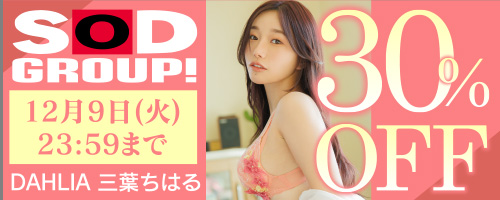 SODグループ30％OFF