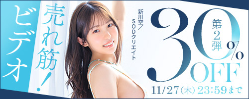 売れ筋！ビデオ30％OFF第2弾