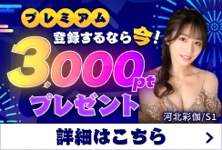 DMMプレミアム